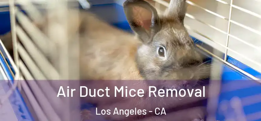 Air Duct Mice Removal Los Angeles - CA