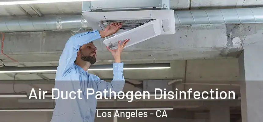Air Duct Pathogen Disinfection Los Angeles - CA