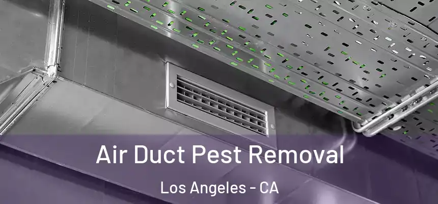 Air Duct Pest Removal Los Angeles - CA