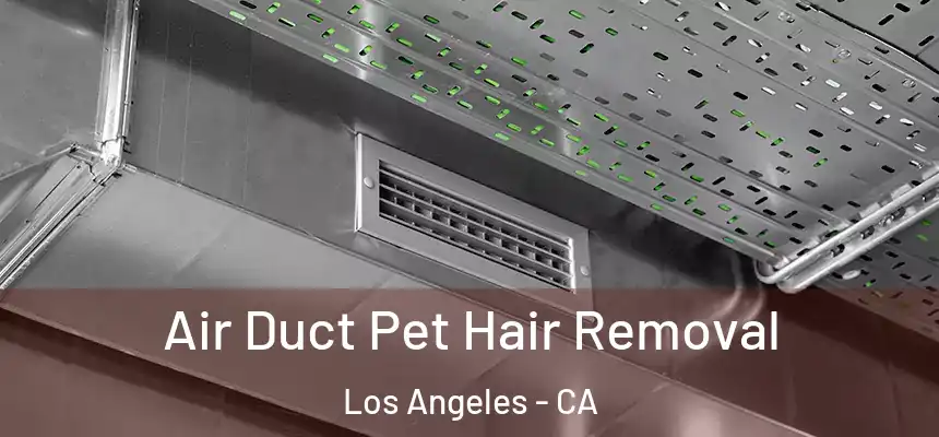 Air Duct Pet Hair Removal Los Angeles - CA