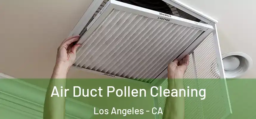 Air Duct Pollen Cleaning Los Angeles - CA