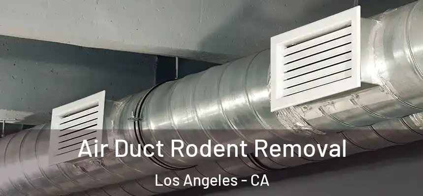 Air Duct Rodent Removal Los Angeles - CA
