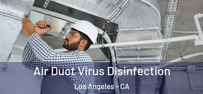 Air Duct Virus Disinfection Los Angeles - CA