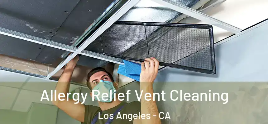 Allergy Relief Vent Cleaning Los Angeles - CA