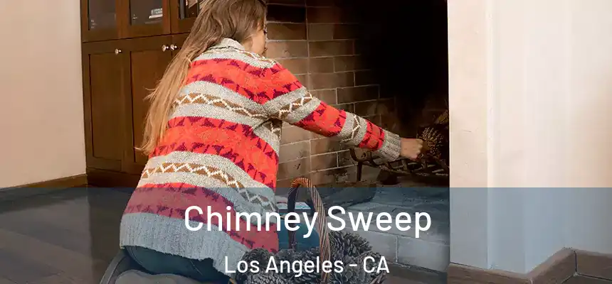 Chimney Sweep Los Angeles - CA
