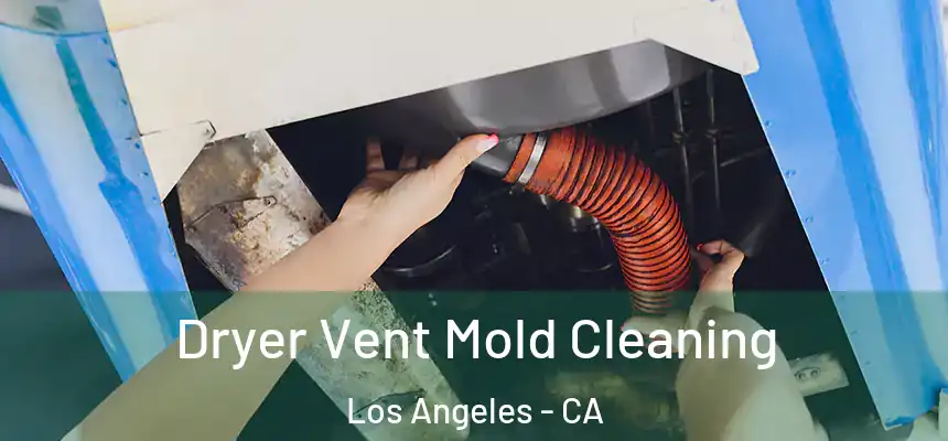 Dryer Vent Mold Cleaning Los Angeles - CA