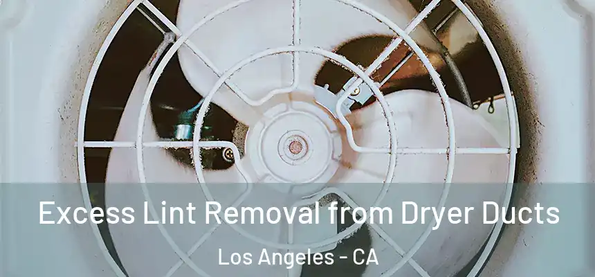  Excess Lint Removal from Dryer Ducts Los Angeles - CA