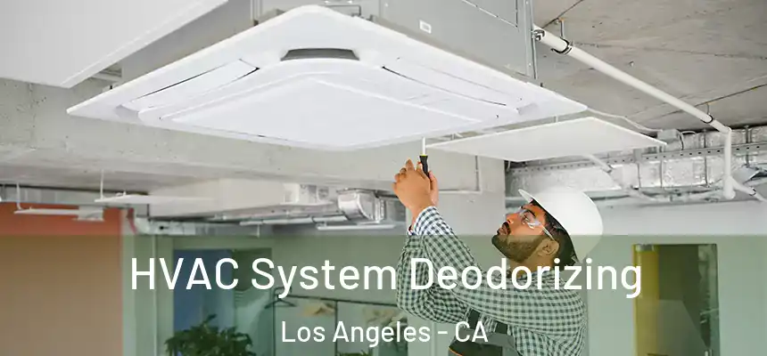 HVAC System Deodorizing Los Angeles - CA