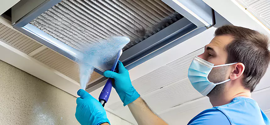 Proactive Dryer Vent & Auxiliary Duct Pollen Cleanup in Los Angeles, CA