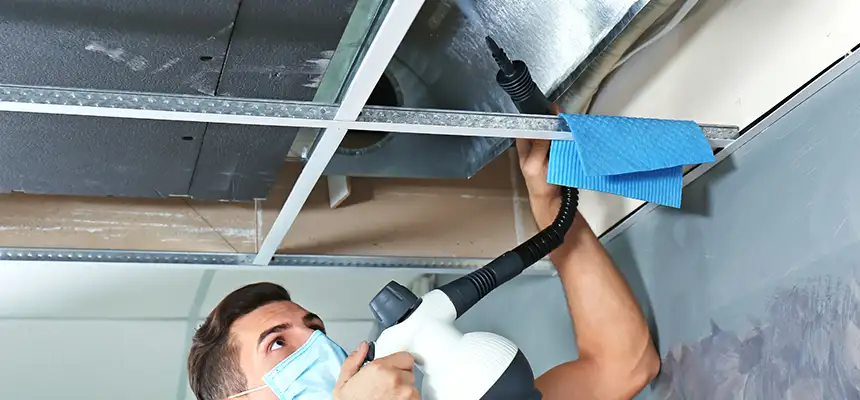 Our Air Duct Rodent Removal Services in Los Angeles, CA