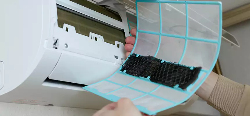 Gentle Ductwork Odor-Control Pet Dander Duct Cleaning in Los Angeles, CA