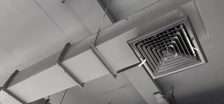 Our Rodent Droppings In Vents Services in Los Angeles, CA