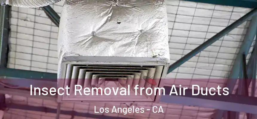 Insect Removal from Air Ducts Los Angeles - CA