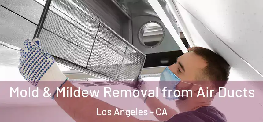 Mold & Mildew Removal from Air Ducts Los Angeles - CA