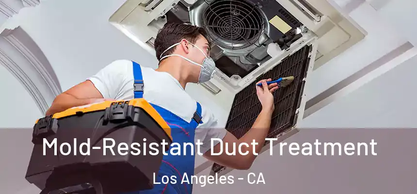 Mold-Resistant Duct Treatment Los Angeles - CA