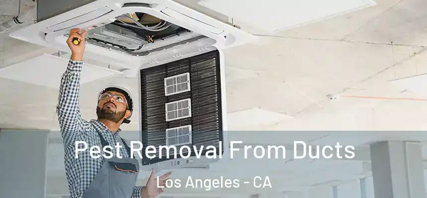 Pest Removal From Ducts Los Angeles - CA