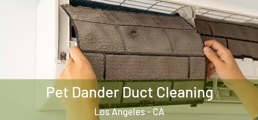 Pet Dander Duct Cleaning Los Angeles - CA