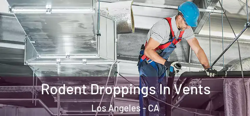 Rodent Droppings In Vents Los Angeles - CA