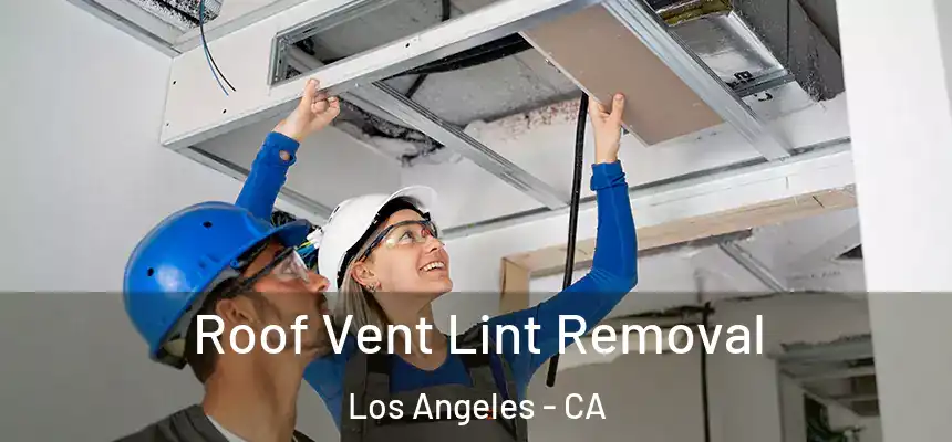  Roof Vent Lint Removal Los Angeles - CA