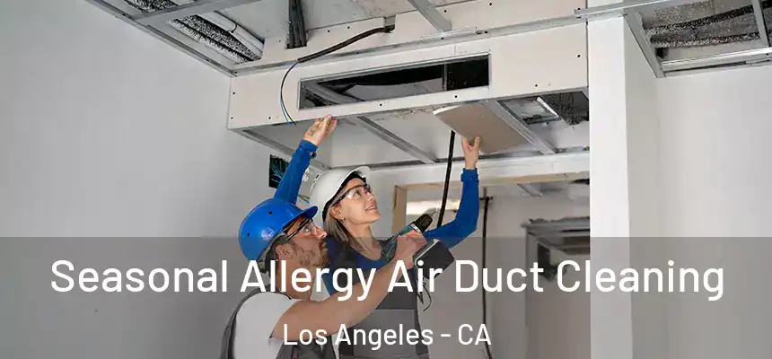 Seasonal Allergy Air Duct Cleaning Los Angeles - CA