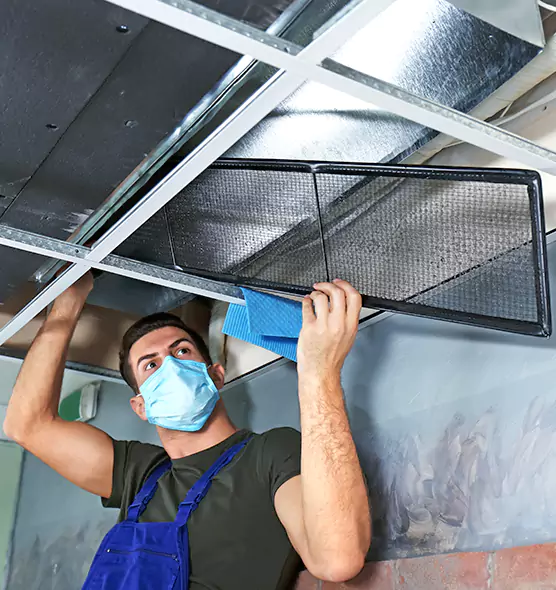 About Air Duct Bacteria Removal in Los Angeles