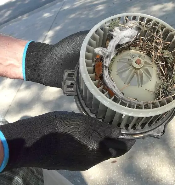 About Air Duct Mice Removal in Los Angeles, CA