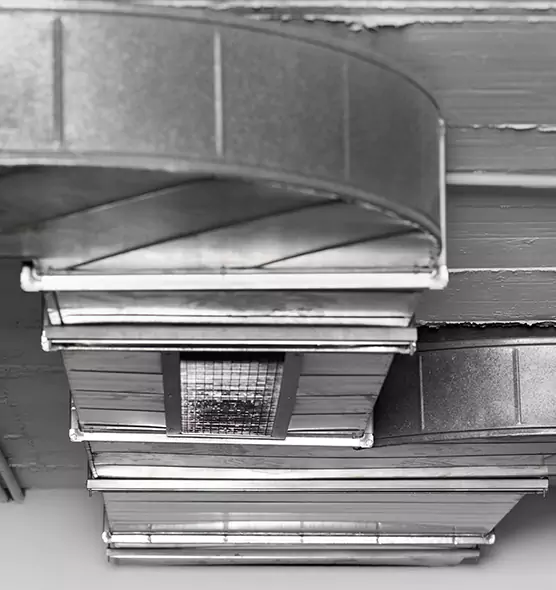 Professional Air Duct Pet Hair Removal in Los Angeles, CA