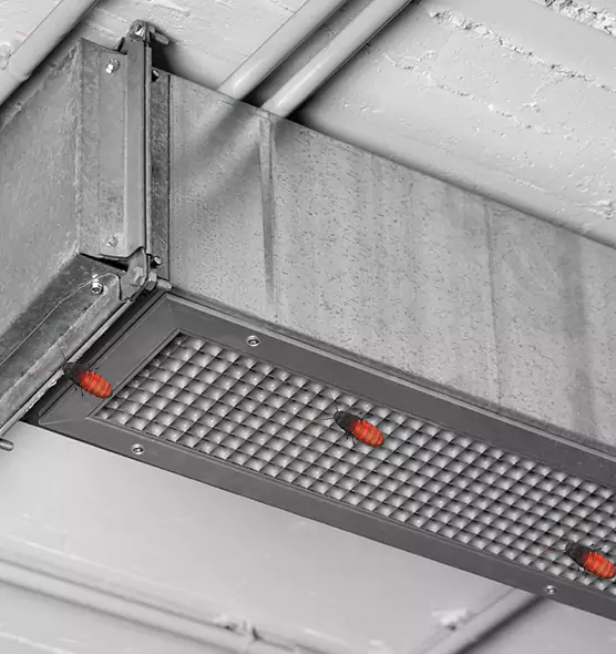 Affordable Insect Removal from Air Ducts in Los Angeles, CA
