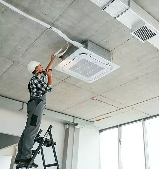 Advanced Pest Removal From Ducts in Los Angeles, CA