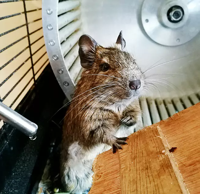 Why Homeowners & Businesses Trust Us Los Angeles, CA?