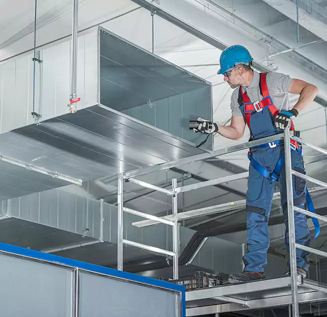 Why Homeowners & Businesses Trust Us in Los Angeles, CA?