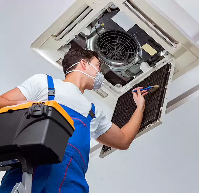 Why Homeowners & Businesses Trust Us in Los Angeles, CA