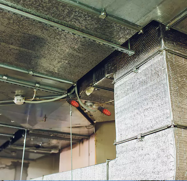 Why Homeowners & Businesses Trust Us Los Angeles, CA?