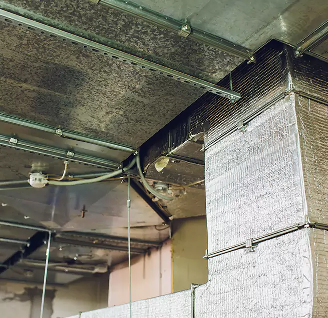 Why Homeowners & Businesses Trust Us in Los Angeles, CA?