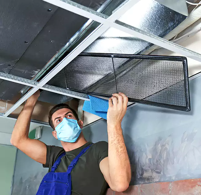 Why Homeowners Businesses Trust Us in Los Angeles, CA